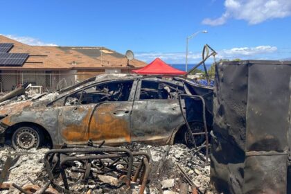 Scientists Find Threat of Toxic Metal Exposure Lingers Long After a Wildfire Goes Out