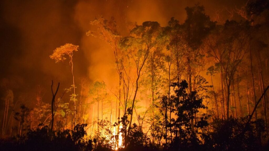 A ‘Super’ El Niño Could Push the Amazon Toward a Tipping Point, Scientists Warn