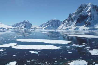 Rising Temperatures Are Turning Antarctica Into a ‘Hotspot’ for This Toxic Pollutant