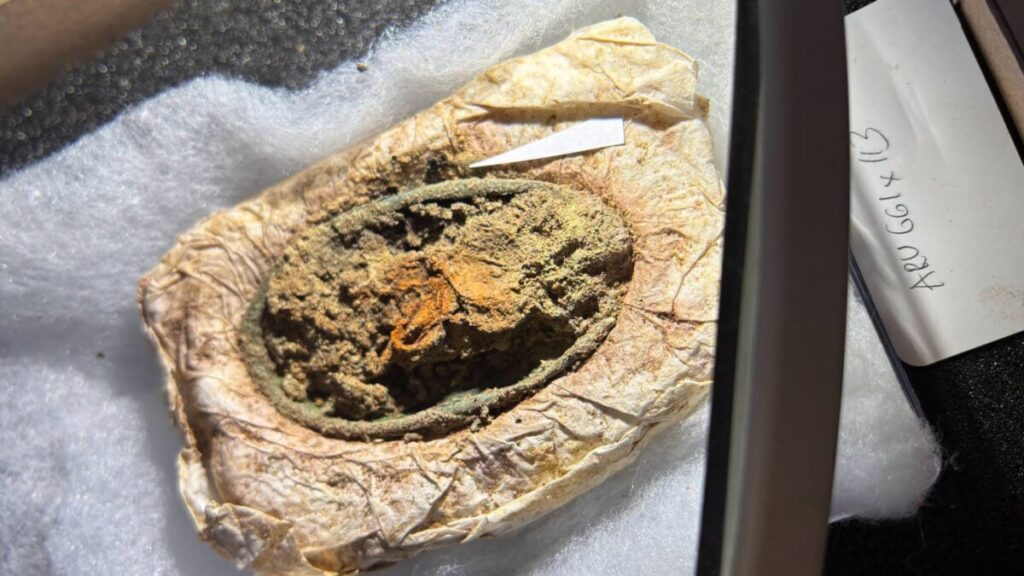 Archaeologists Found a 1,300-Year-Old Viking Dress, and the Reason It Survived Is Surprising