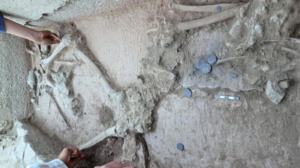 Archaeologists Think a 2,400-Year-Old Grave Belongs to an Ancient Greek Wrestler