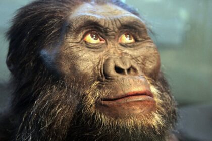 Bigfoot-Like Ancient Apes Might Have Been Closer to Humans Than We Realize