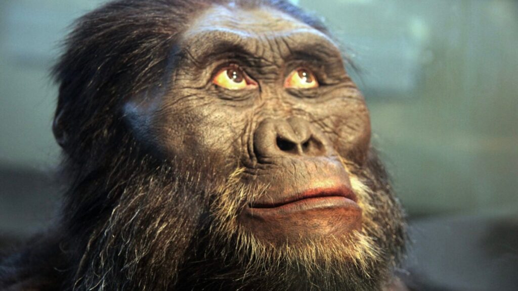 Bigfoot-Like Ancient Apes Might Have Been Closer to Humans Than We Realize