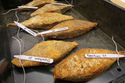 A Massive, 2,000-Year-Old Iron Haul Could Rewrite What We Know About Ancient Trade