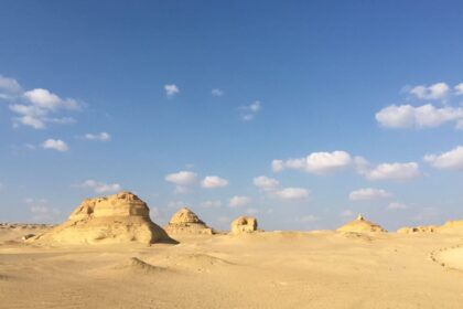 Evidence of Ancient Sharks Found Buried in the Egyptian Desert