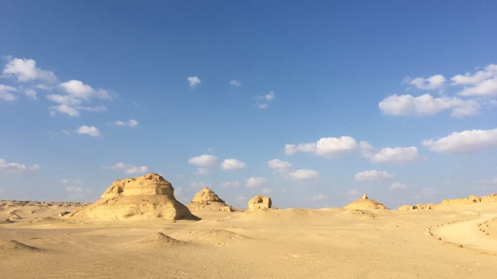 Evidence of Ancient Sharks Found Buried in the Egyptian Desert