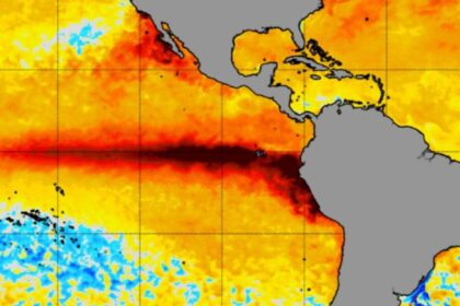 Climate Change Is Supercharging El Niño, 1,000 Years of Coral Data Shows