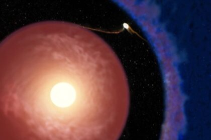 Astronomers Just Found the Youngest Planet Ever Seen. It Shouldn’t Be So Huge
