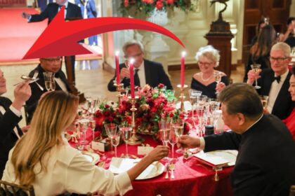 If You Ask Grok, Elon Musk Acted Like a Jackass at the Trump/Xi Dinner