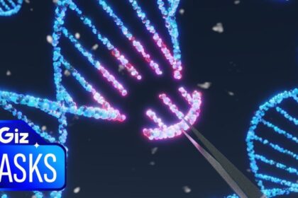 After 2 Deaths and Reports of Brain Tumors, How Dangerous Is Gene Therapy, Really?