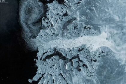 Polar Ice Sheets Have Lost 11 Trillion Tons of Ice—and ‘Speeding’ Glaciers Are Driving the Loss