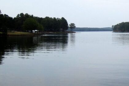 8-Year-Old Girl in Louisiana Dies From ‘Brain-Eating’ Amoeba After Lake Swim