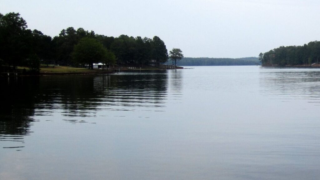 8-Year-Old Girl in Louisiana Dies From ‘Brain-Eating’ Amoeba After Lake Swim