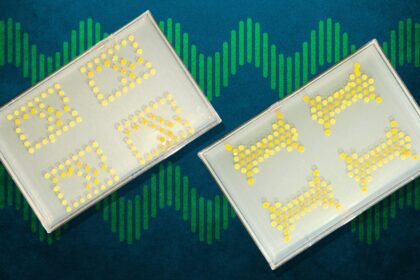 These Transistors Engineered With Bacteria Are Literally Alive, if a Little Slow