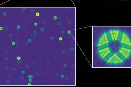 NASA’s New $4 Billion Space Telescope Just Saw Starlight for the First Time. Here’s What It Saw