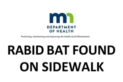 Minnesota Woman Picked Rabid Bat Off Sidewalk. Now Health Officials Are Desperate to Find Her [Updated]