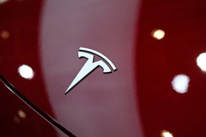 Another Telsa on Autopilot Stopped on Freeway, Driver Died: Report