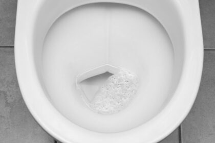 Your Toilet Flush Launches a Microbial Mist—and It Reaches Your Face