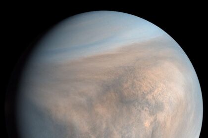 Scientists Thought Venus Was Too Acidic for Complex Chemistry. It May Actually Be Weirdly Hospitable