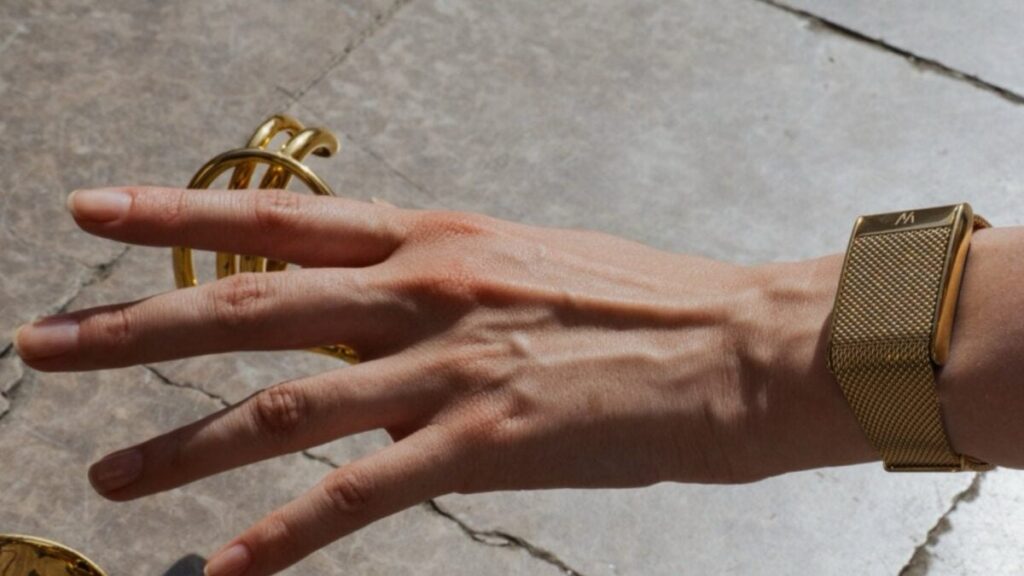 Whoop’s New Meridian Band Makes an Expensive Wearable Even More So