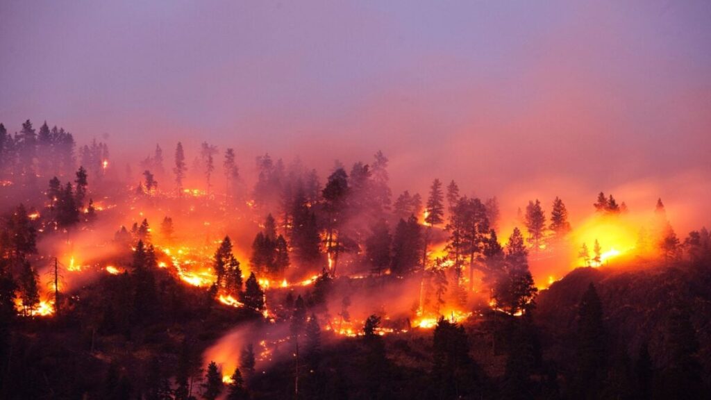 Global Warming Has Kicked Into Overdrive, Scientists Warn