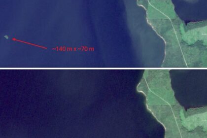 A Forested Island Suddenly Appeared in This Gigantic Reservoir—and Then Mysteriously Vanished