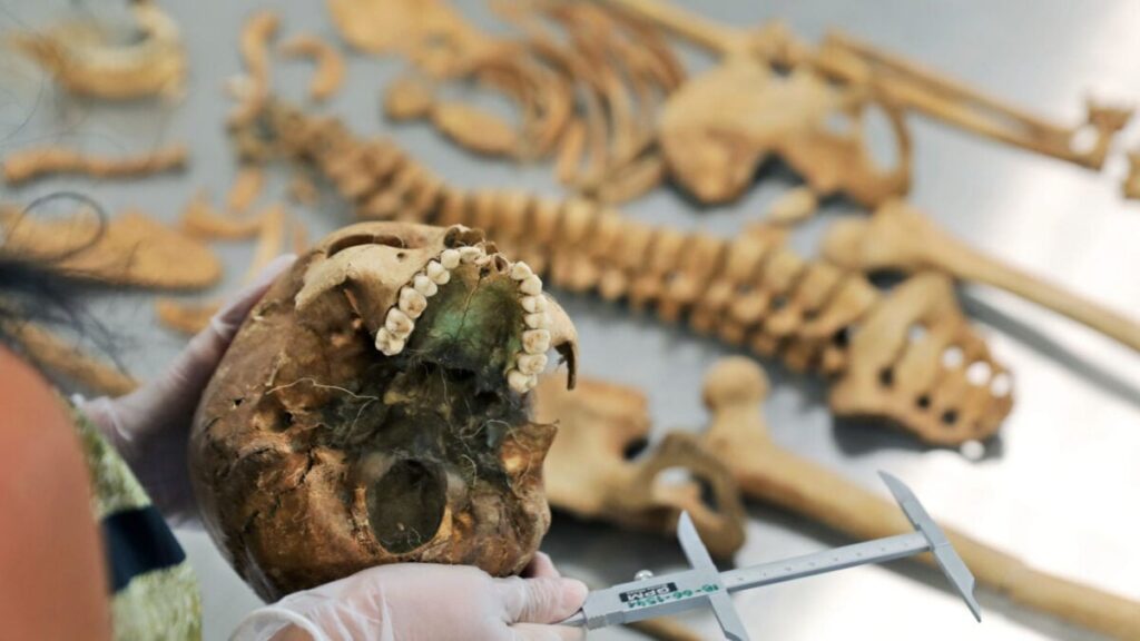Meet Zosia, the 17th-Century Vampire Suspect Buried With a Sickle at Her Throat