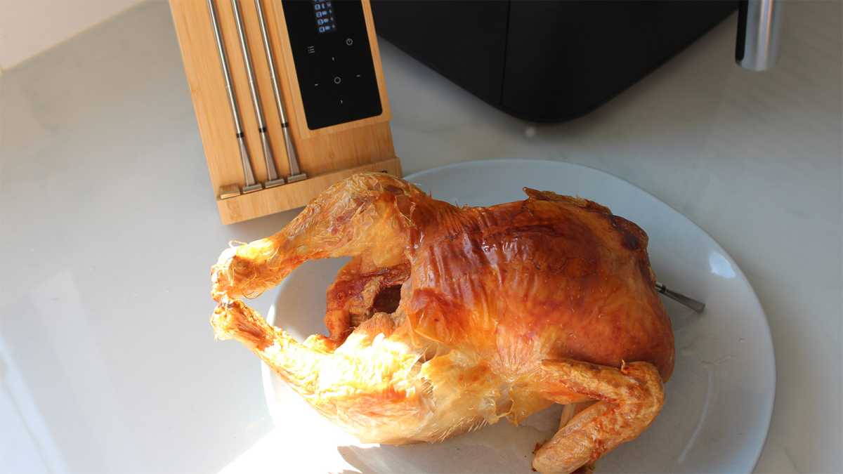 Chicken on a plate, with the Meater block behind it