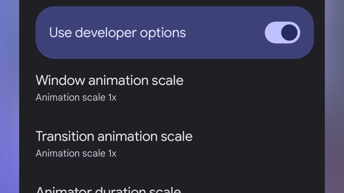 Google Pixel 9 series tips and tricks developer options screen animation