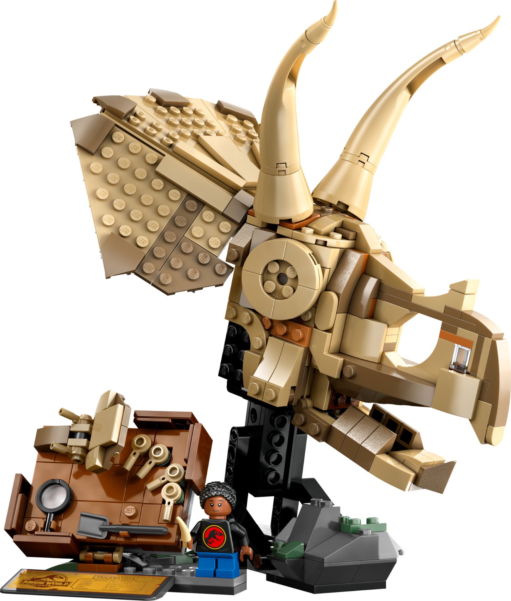 Lego Dinosaur Fossil Triceratops Skull