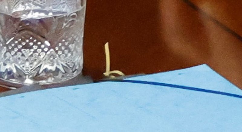 Close-up view of something Alex Jones was claiming to be a spoon on social media.