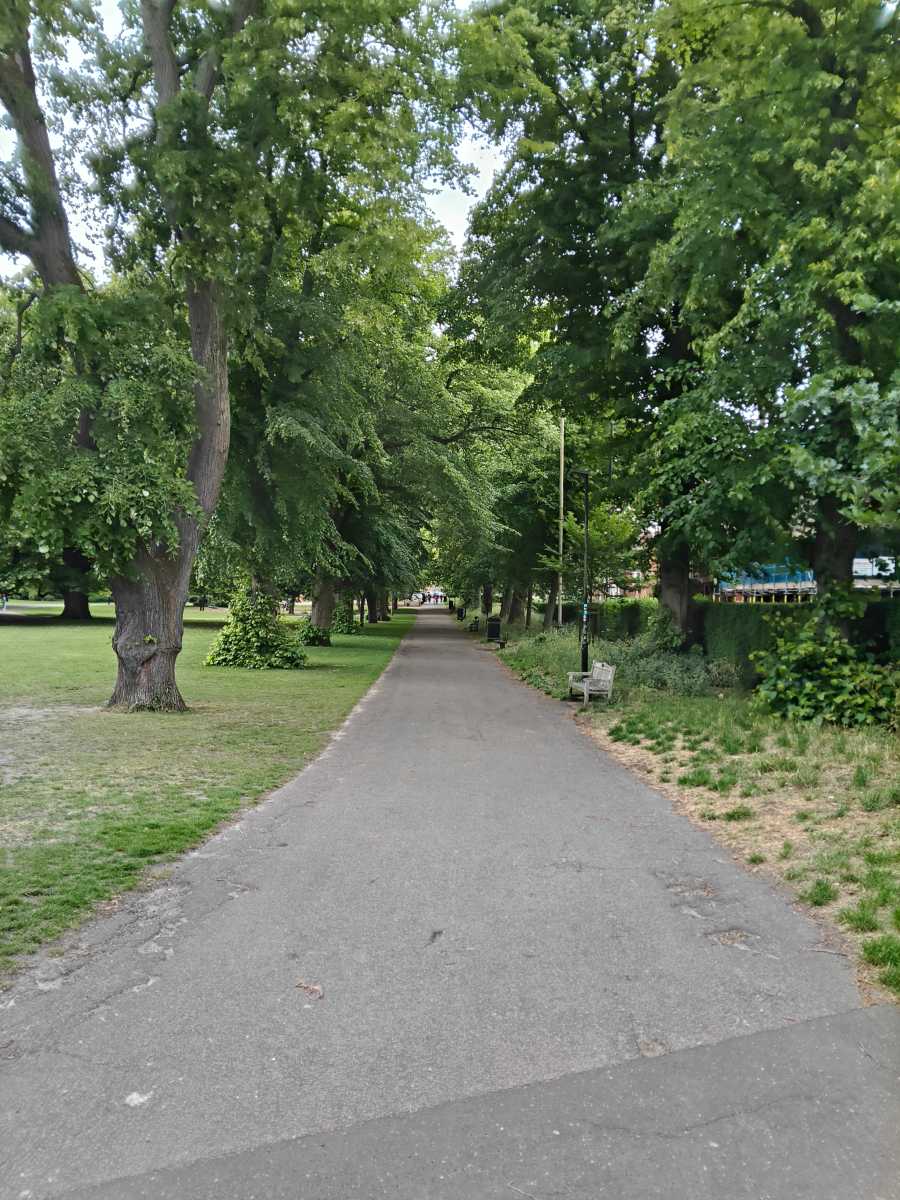oneplus pad 3 camera sample 6