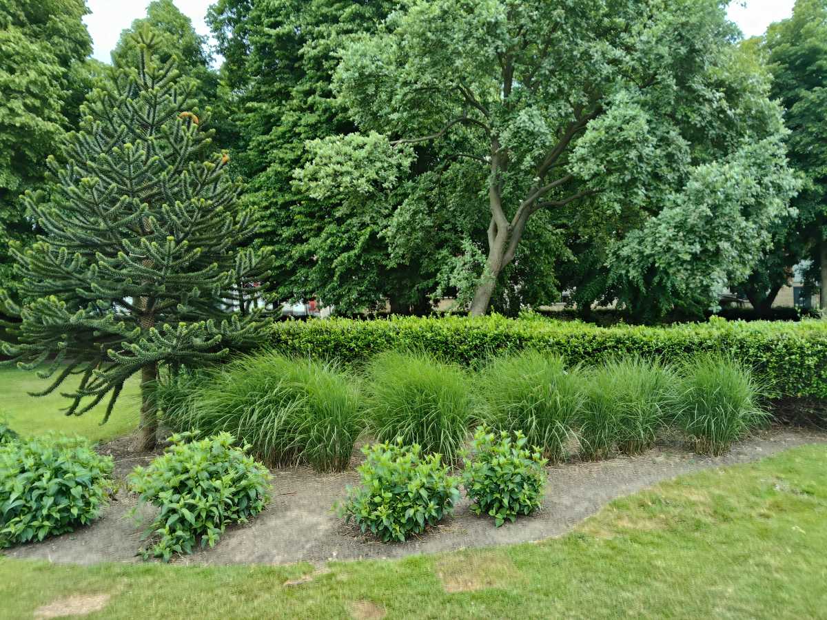 oneplus pad 3 camera sample 9