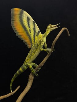 Mirasaura Model