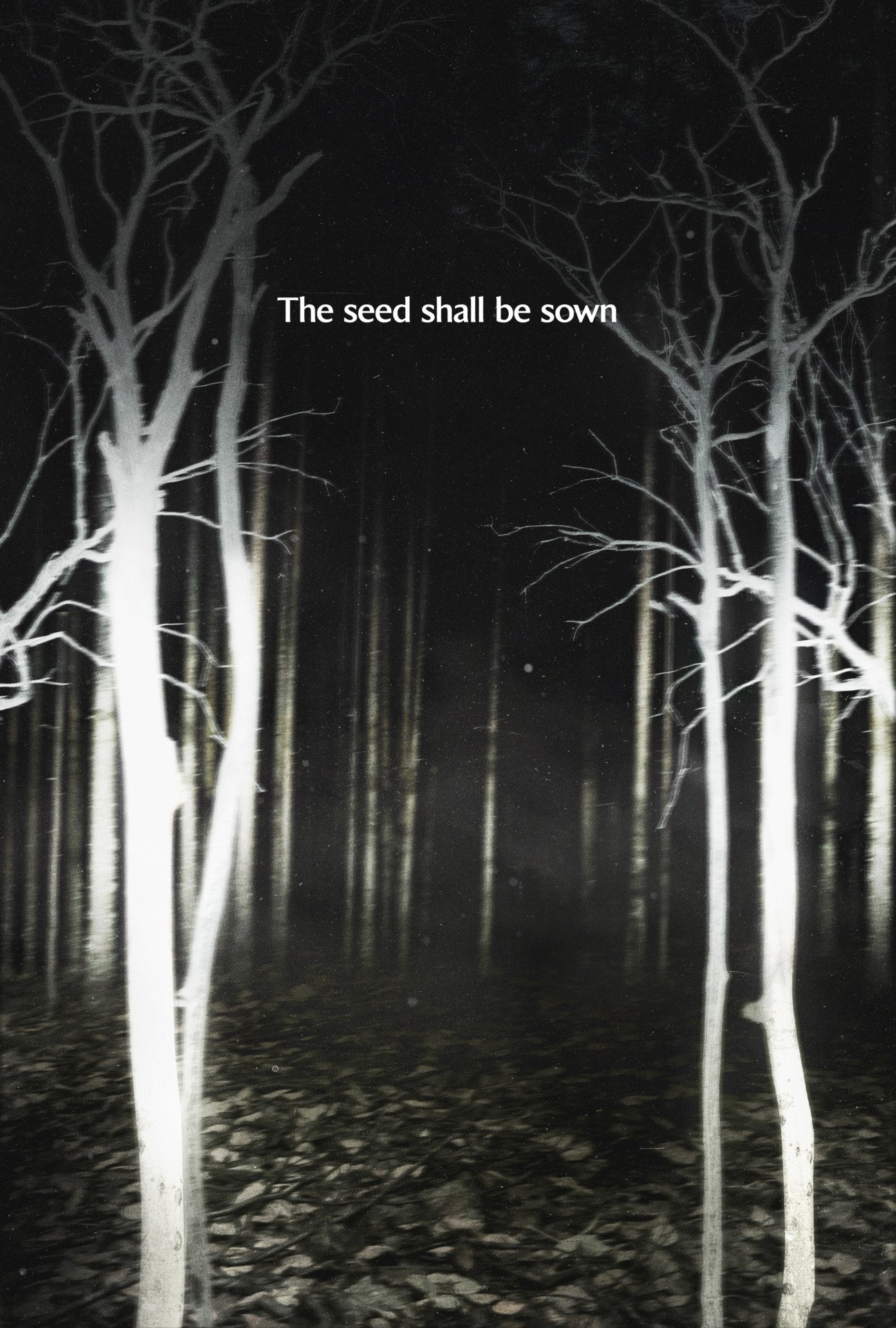 Neon Shelbyoaks Teaser Seeds