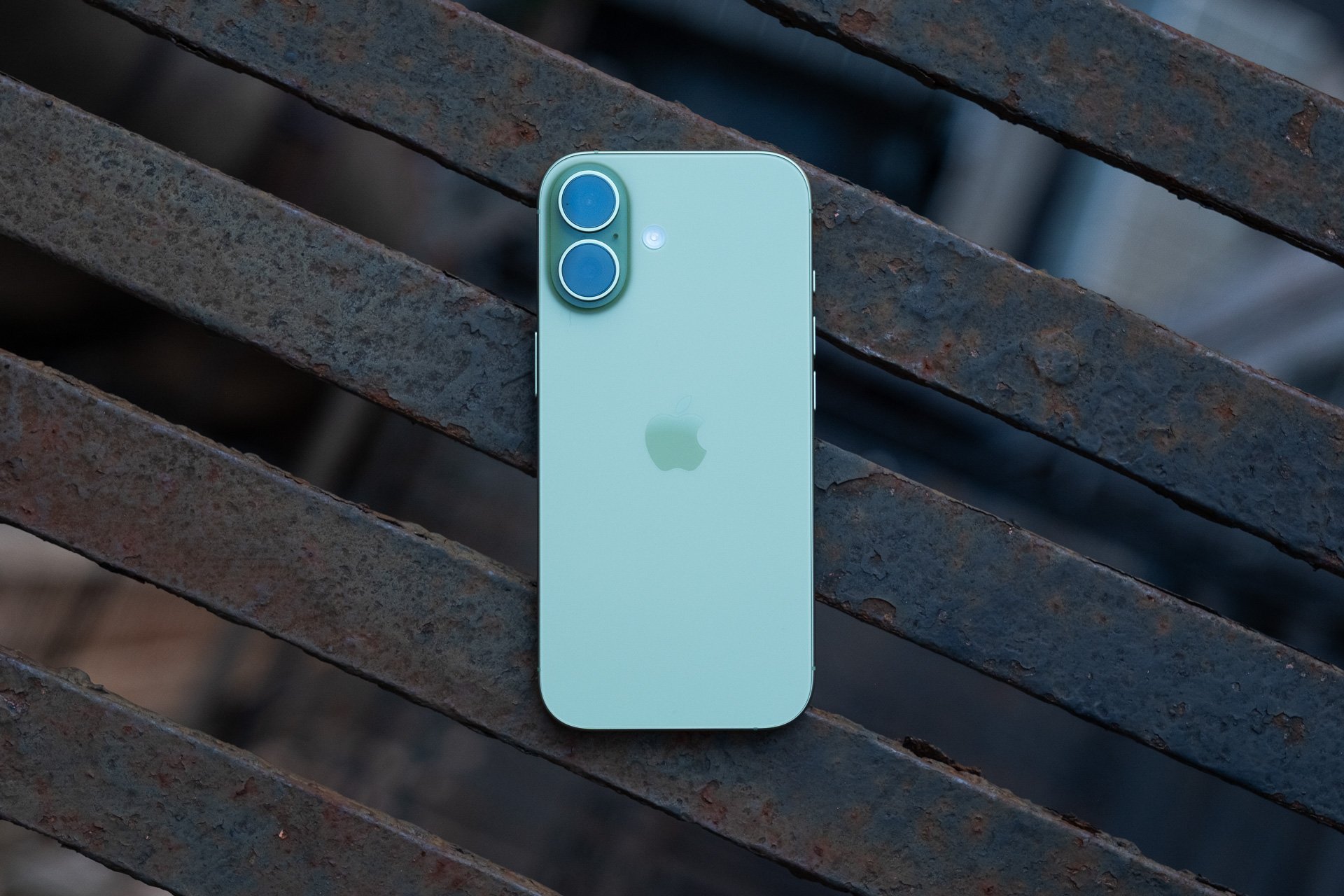 iPhone 17 in Sage green