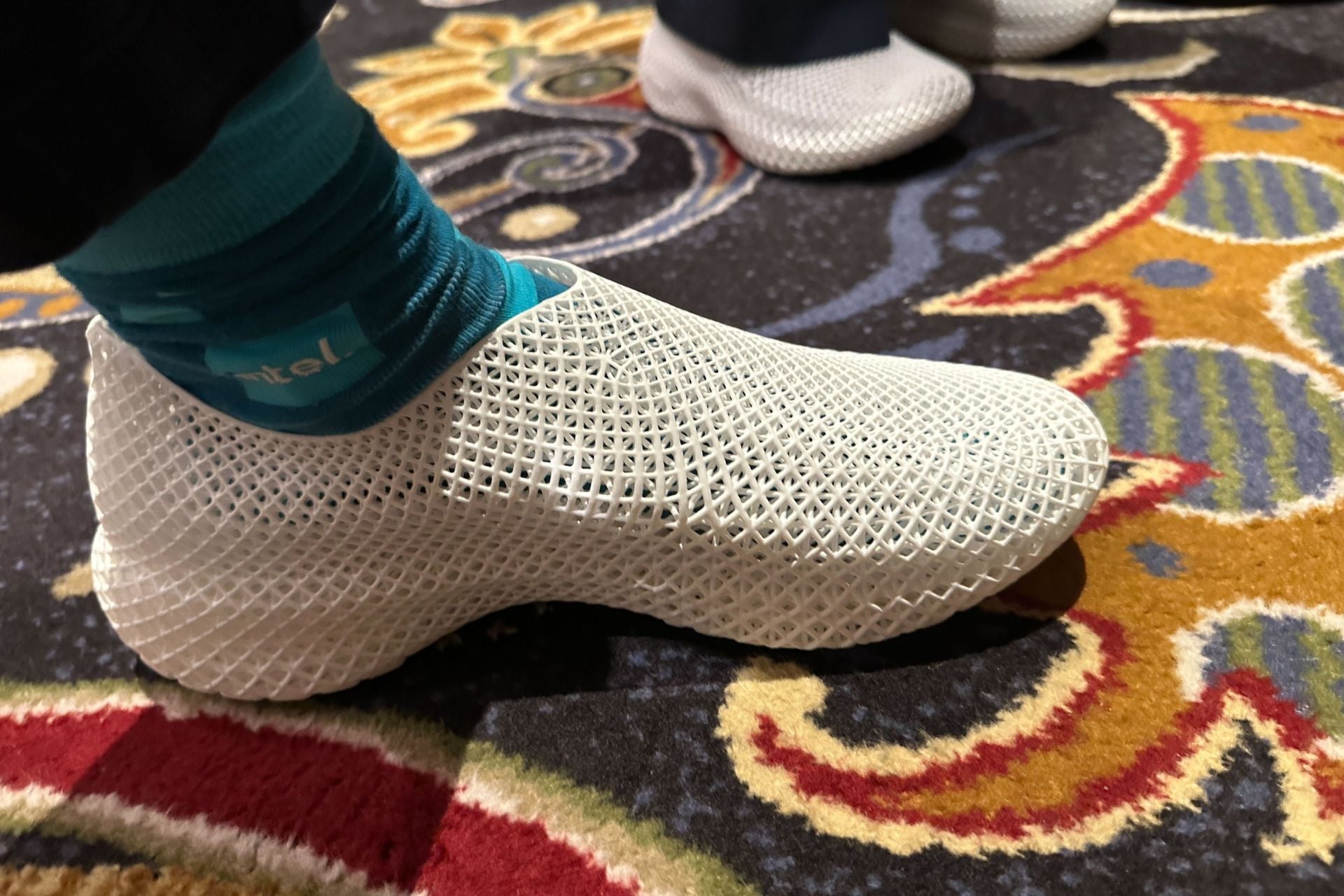 Fitsasy 3D printed shoes