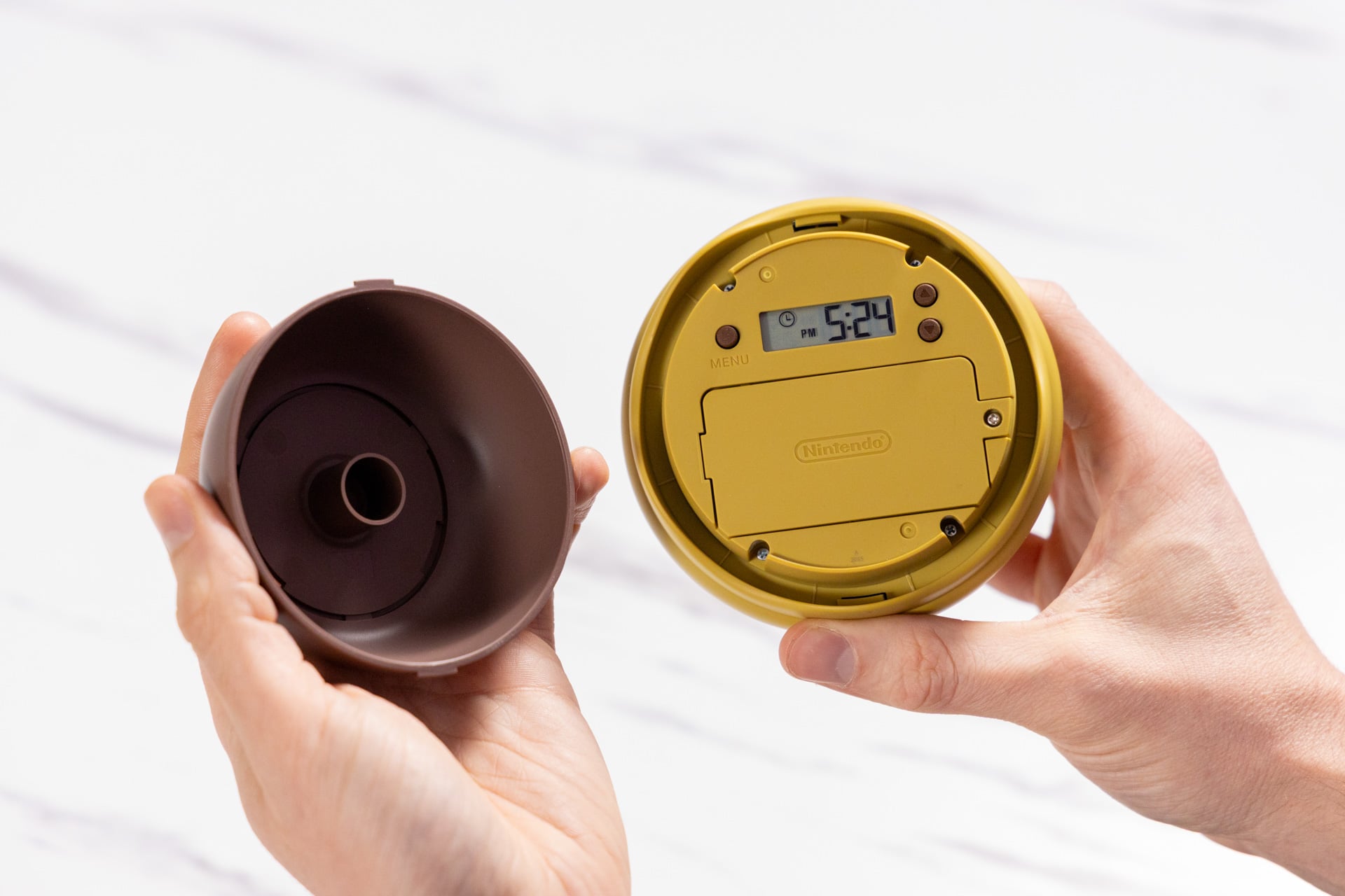 Nintendo Talking Flower Review