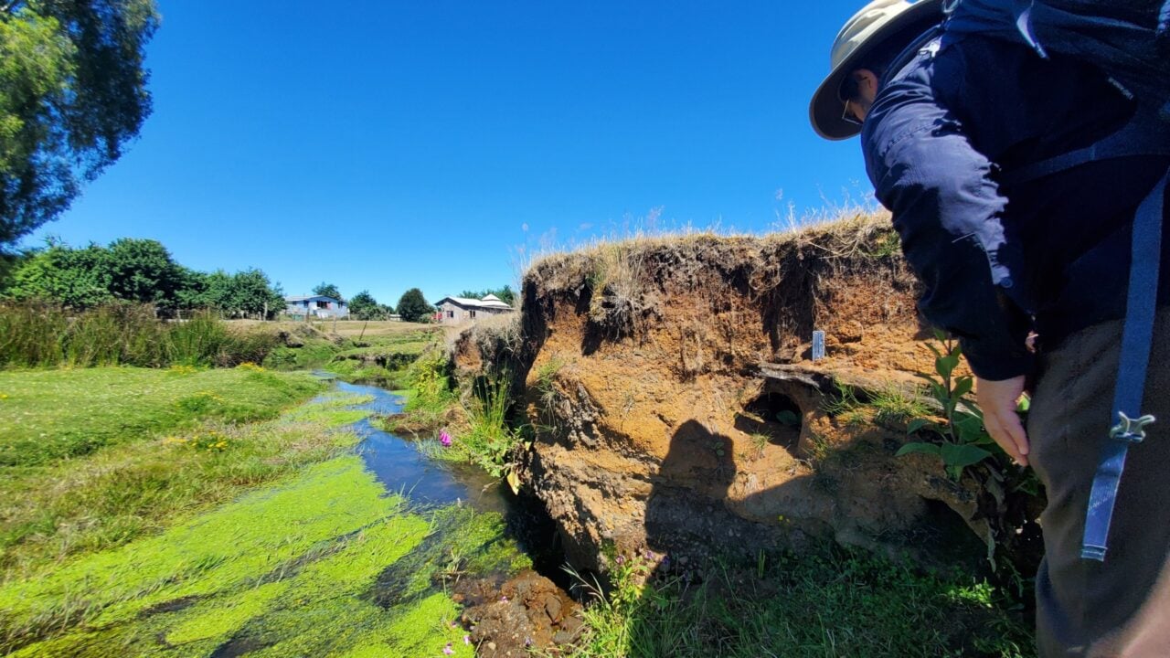Claudio Latorre Inspecting Wood Monte Verde