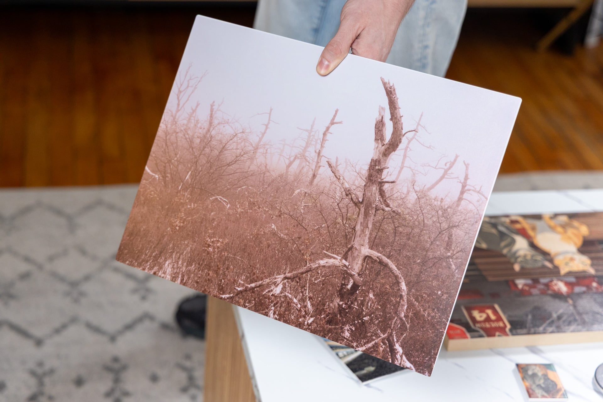 Anker Eufymake E1 Uv Printer Review 22