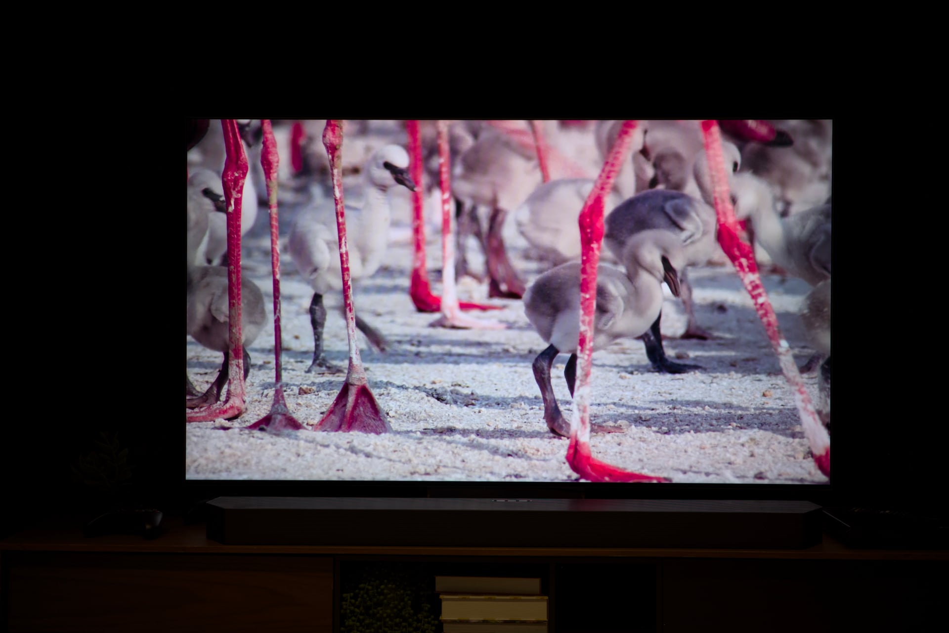 Samsung Microrgb Tv 4