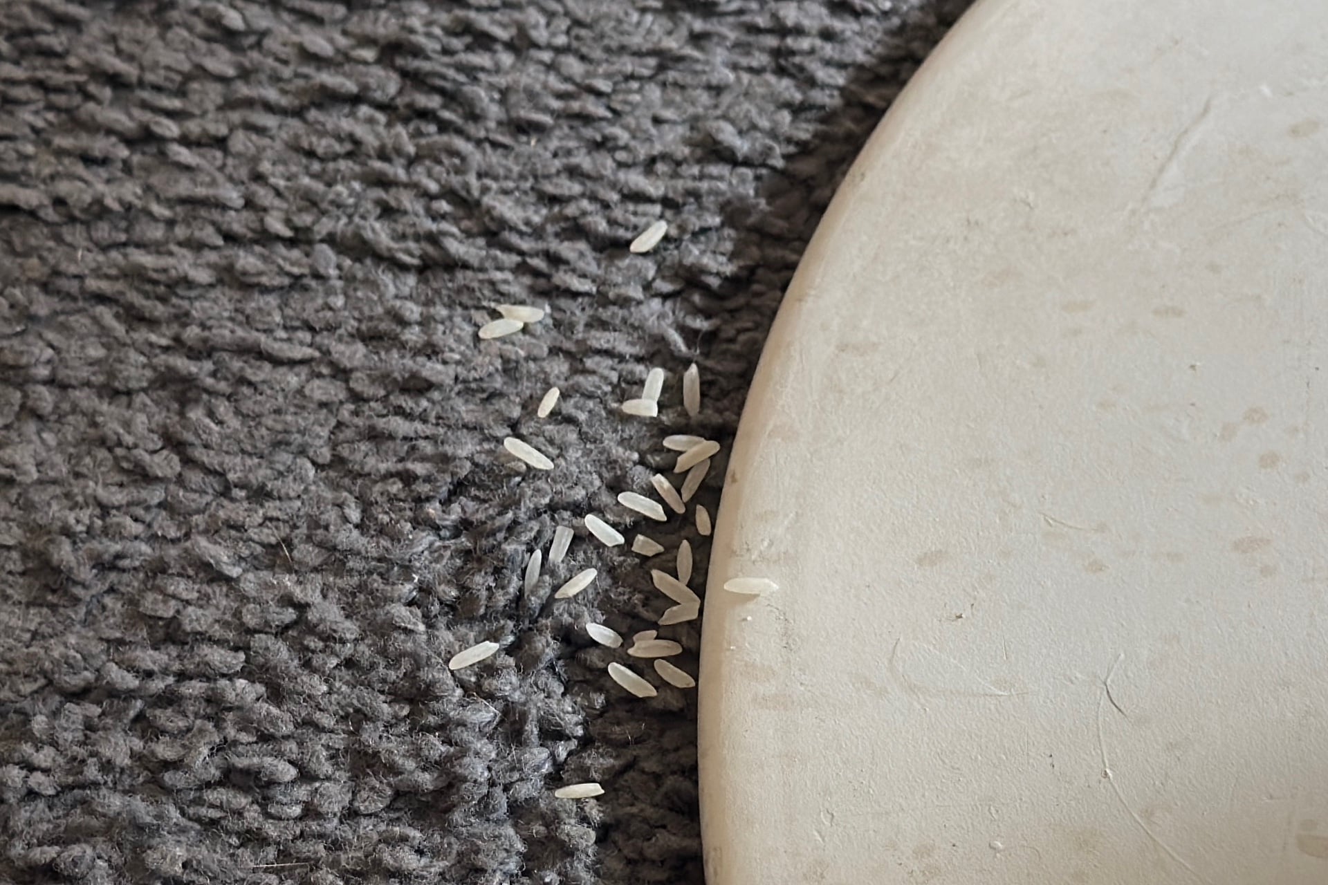 Deebot X12 Omnicycle Rice Spill Chair