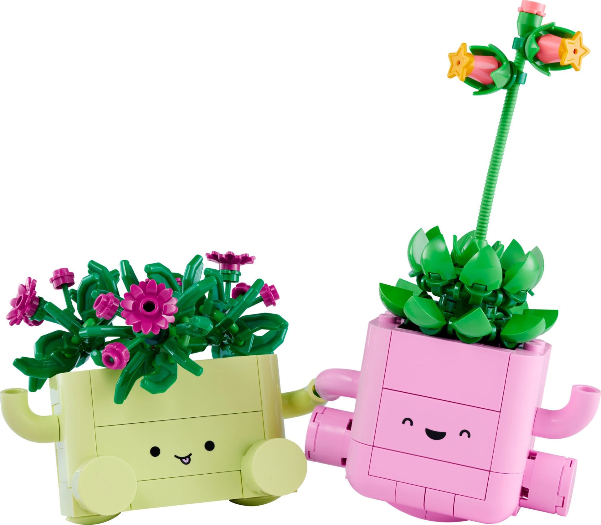 Lego Botanicals Rocking Plants