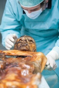 Otzi The Iceman 2