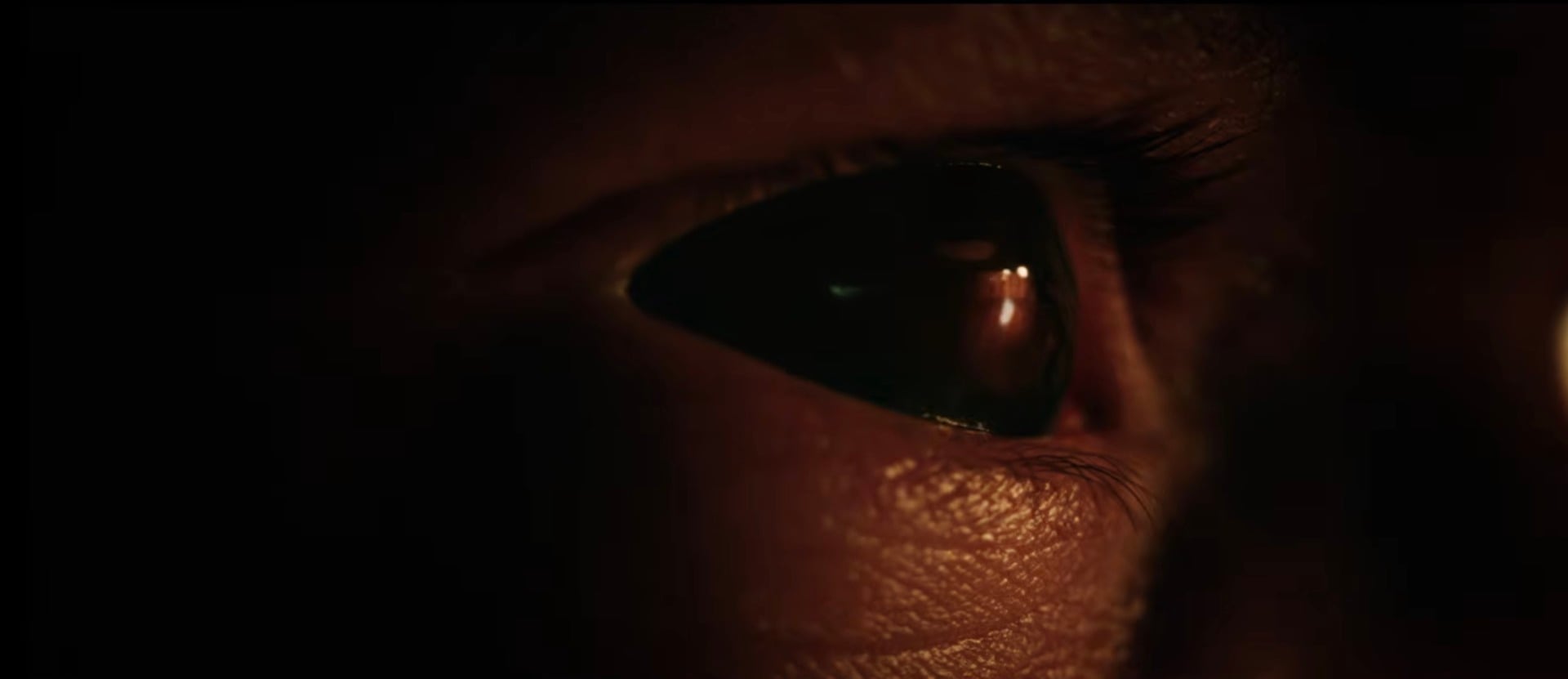 Spider-Man BND Trailer 2