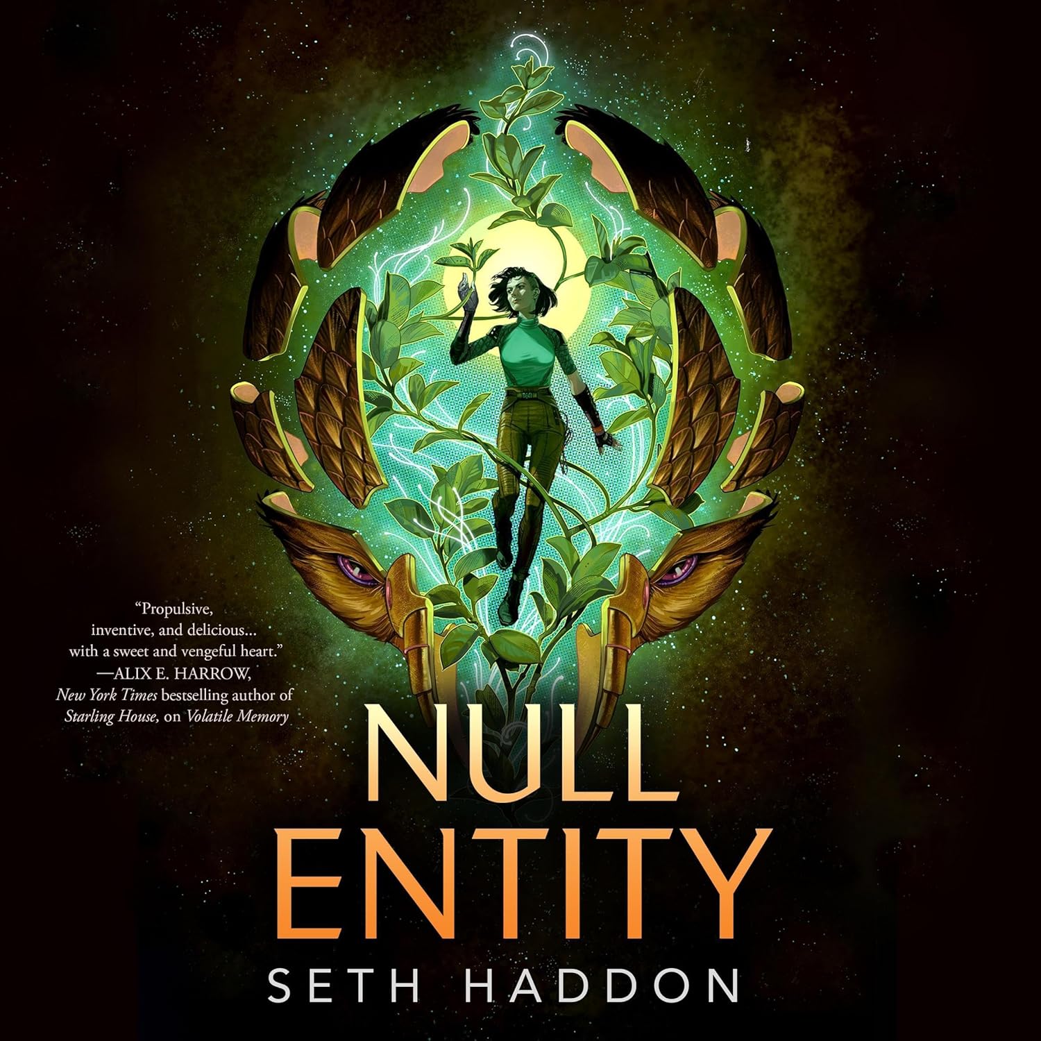 Null Entity Seth Haddon