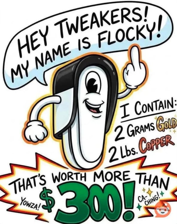 A message to thieves that there's resell value in Flock cameras.