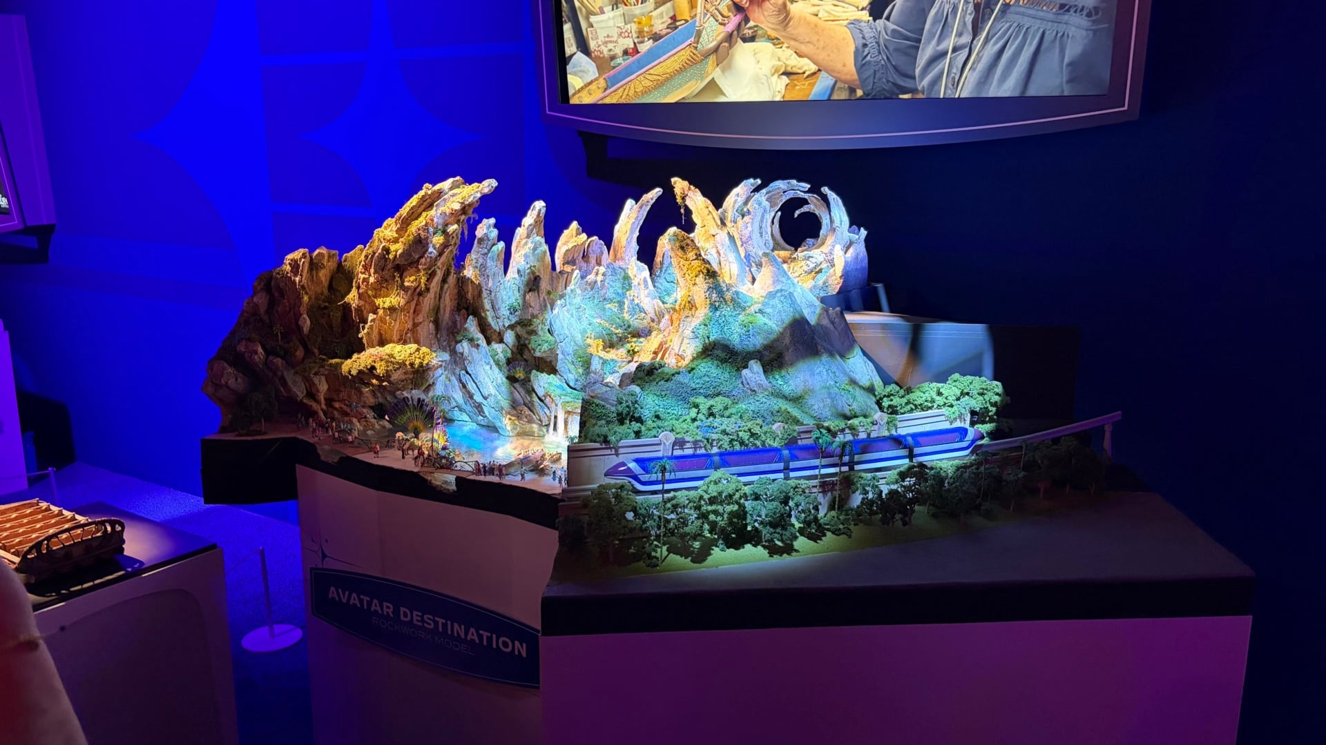 D23 Avatar Display 6