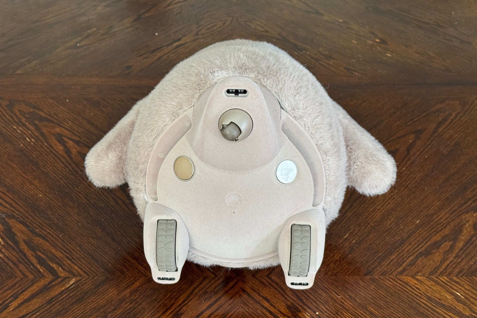 Picture of the Kata Friends bottom, showing its wheels, power button, and magnetic charging points.