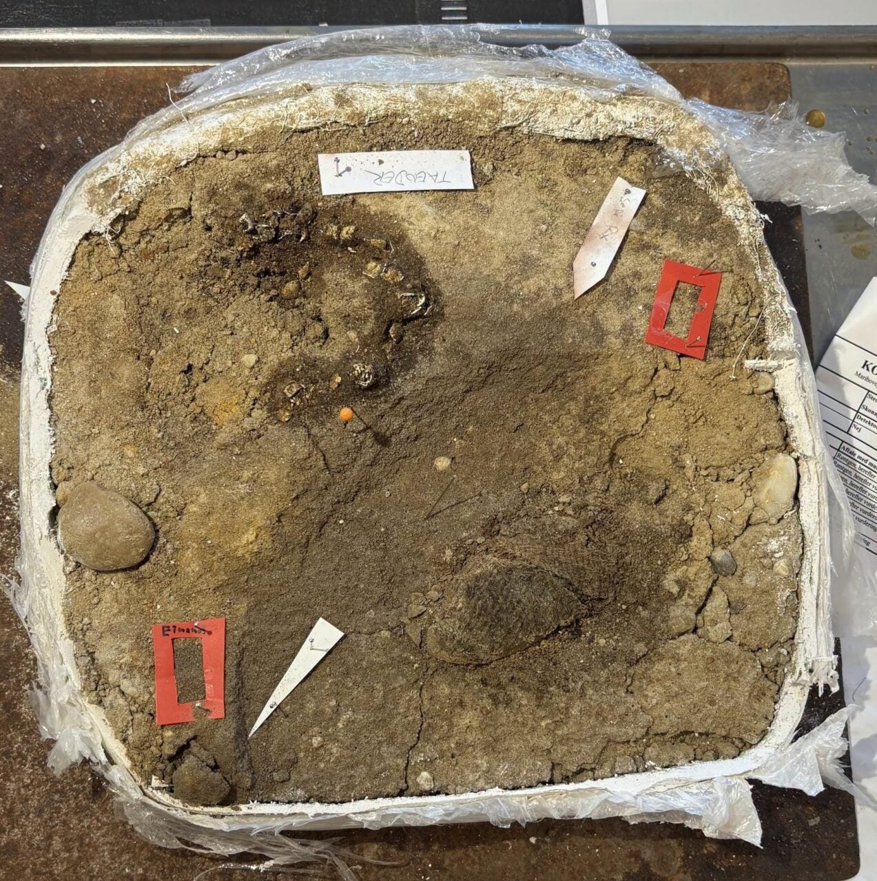 Soil Block West Jutland Viking Dress
